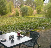 Avocados - Accommodation Brunswick Heads
