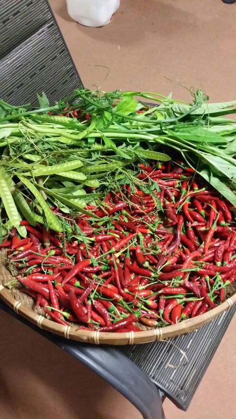 Zaab Thai Cuisine - Accommodation Brunswick Heads 1