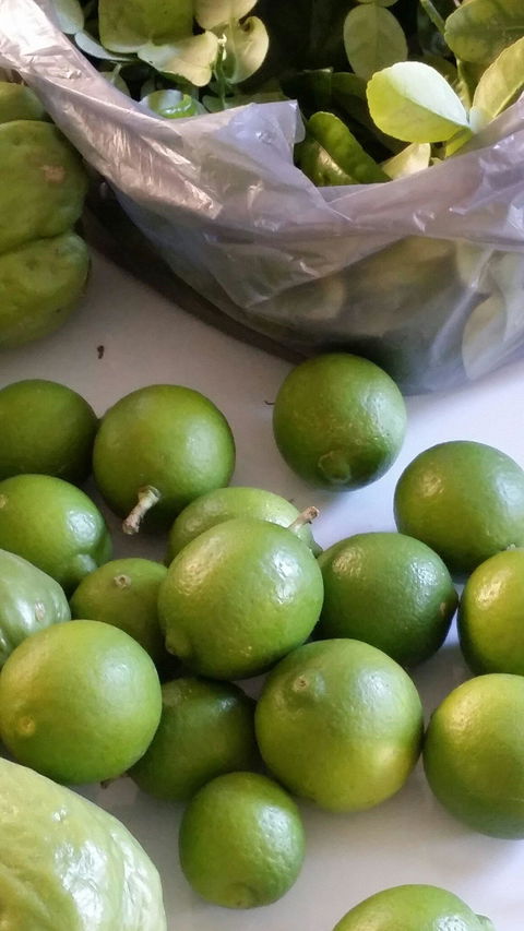 Zaab Thai Cuisine - Accommodation Brunswick Heads 3