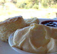 Tanglefoot Winery Cafe - Accommodation Brunswick Heads