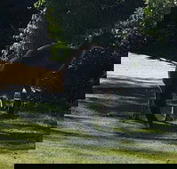 Footprints - Accommodation Brunswick Heads