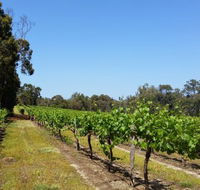 Stringybark Cottage Winery  Restaurant - Accommodation Brunswick Heads