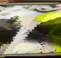 Baker Bear's Bakery - Accommodation Brunswick Heads