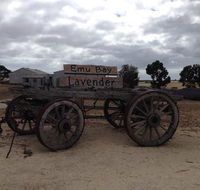 Emu Bay Lavender - Accommodation Brunswick Heads