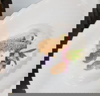 Oliver's Bar  Bistro