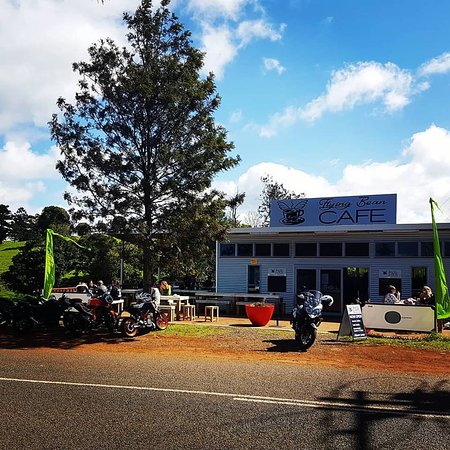 Lower Beechmont QLD Accommodation Brunswick Heads