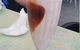 Marina Boulevard Cafe - thumb 5