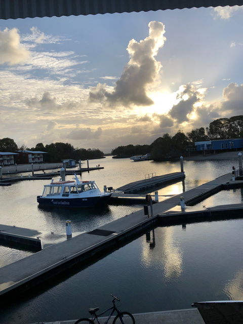 Marlin Bar Tavern - Accommodation Brunswick Heads 3