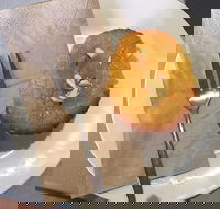 New Leaf Cafe Murwillumbah - Accommodation Brunswick Heads