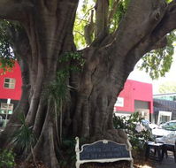PUK Espresso - Accommodation Brunswick Heads