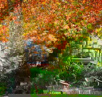 The Woods Ravensbourne - Accommodation Brunswick Heads