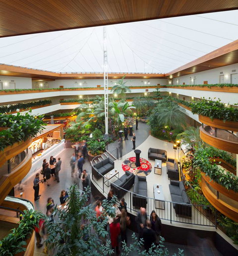 Pavilion on Northbourne - Accommodation Brunswick Heads 11