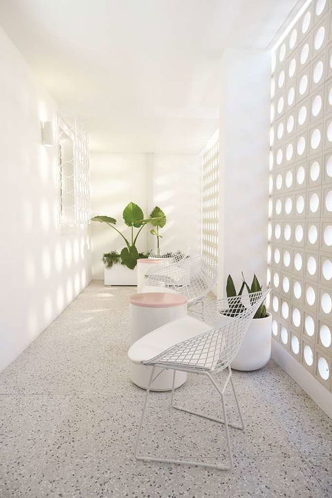 Adina Apartment Hotel Chippendale - Accommodation Brunswick Heads 3