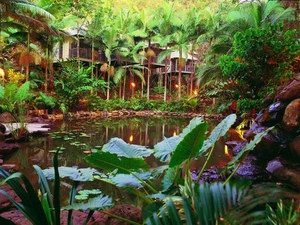 Daintree Eco Lodge & Spa - Accommodation Brunswick Heads 0
