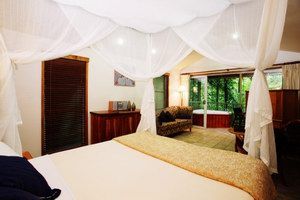 Daintree Eco Lodge & Spa - Accommodation Brunswick Heads 1
