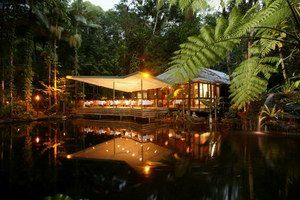 Daintree Eco Lodge & Spa - Accommodation Brunswick Heads 2