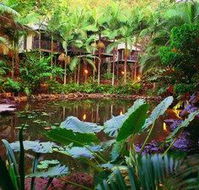 Daintree Eco Lodge  Spa - Accommodation Brunswick Heads