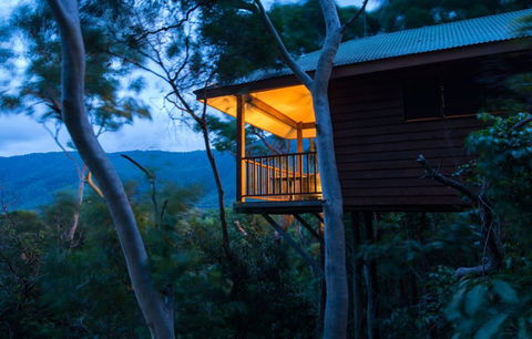 Thala Beach Nature Reserve - Accommodation Brunswick Heads 0