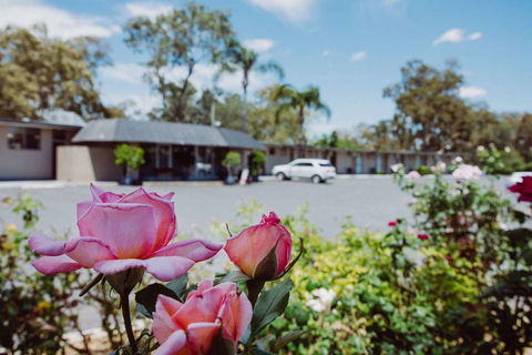 Artesian Spa Motor Inn - Accommodation Brunswick Heads 2
