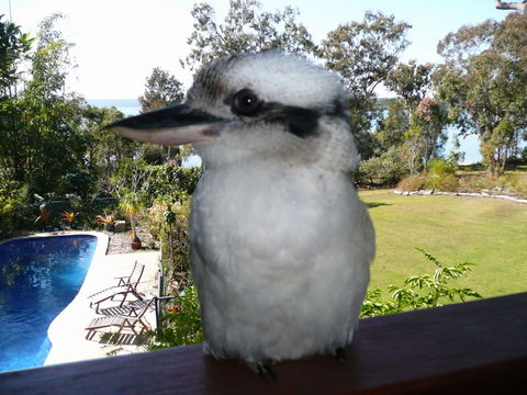 Yarrandabbi Dreaming Boutique B&B - Accommodation Brunswick Heads 2