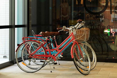 QT Bondi - Accommodation Brunswick Heads 14