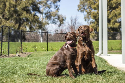 Abode Narrabundah - Accommodation Brunswick Heads 21