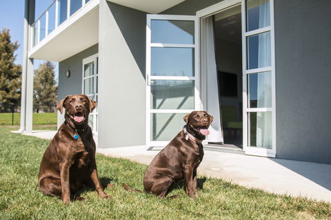 Abode Narrabundah - Accommodation Brunswick Heads 20