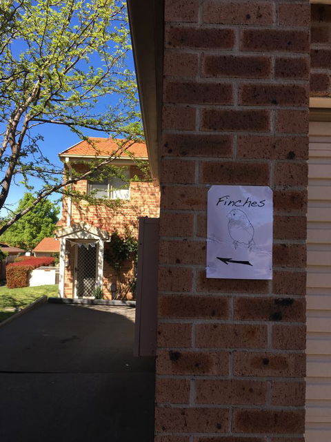 Finches Canberra - Accommodation Brunswick Heads 6