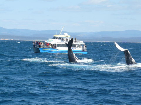 Heritage House Motel & Units - Accommodation Brunswick Heads 28