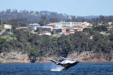 Heritage House Motel & Units - Accommodation Brunswick Heads 27
