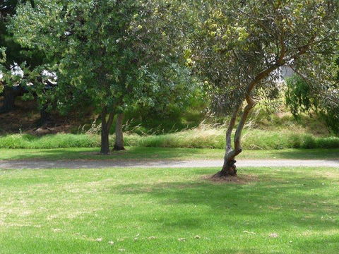 Victor Harbor Holiday Park - Accommodation Brunswick Heads 24