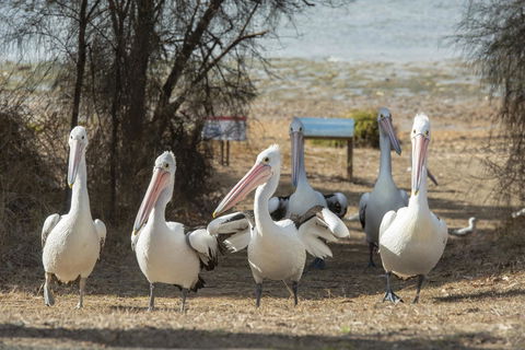 Mercure Kangaroo Island Lodge - Accommodation Brunswick Heads 15