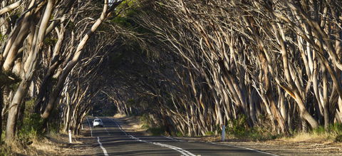 Mercure Kangaroo Island Lodge - Accommodation Brunswick Heads 40