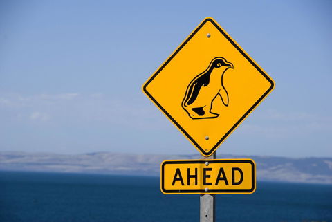 Kangaroo Island Seafront - Accommodation Brunswick Heads 43