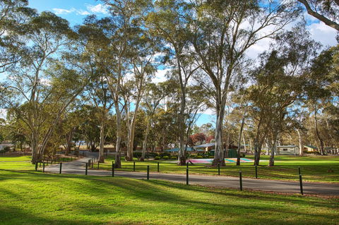 Discovery Parks - Clare - Accommodation Brunswick Heads 19