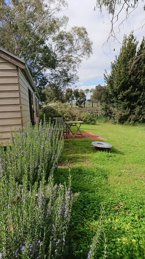 Lost In The Vines - Accommodation Brunswick Heads 22