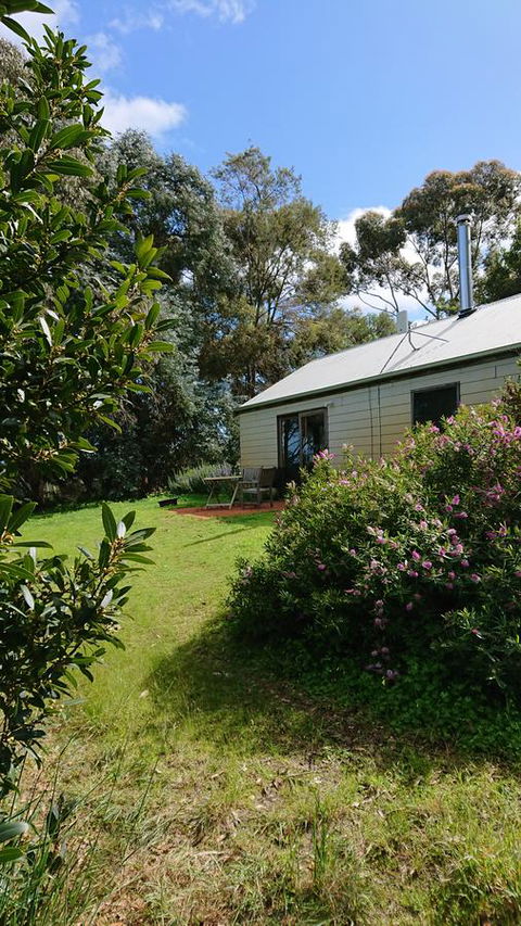 Lost In The Vines - Accommodation Brunswick Heads 26
