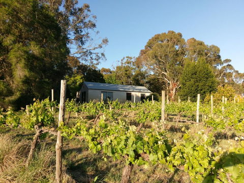 Lost In The Vines - Accommodation Brunswick Heads 25