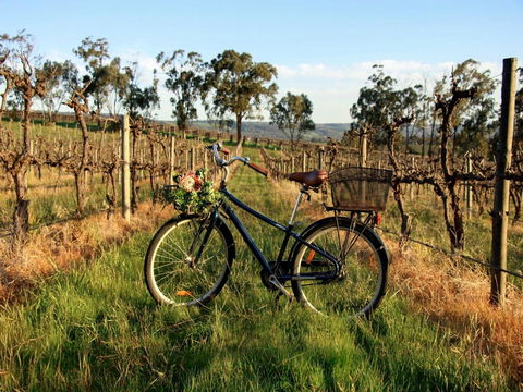 Lost In The Vines - Accommodation Brunswick Heads 17