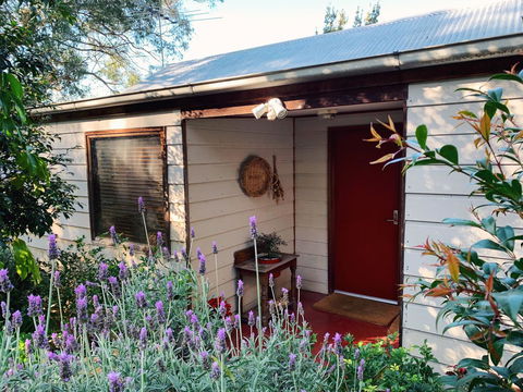 Lost In The Vines - Accommodation Brunswick Heads 13