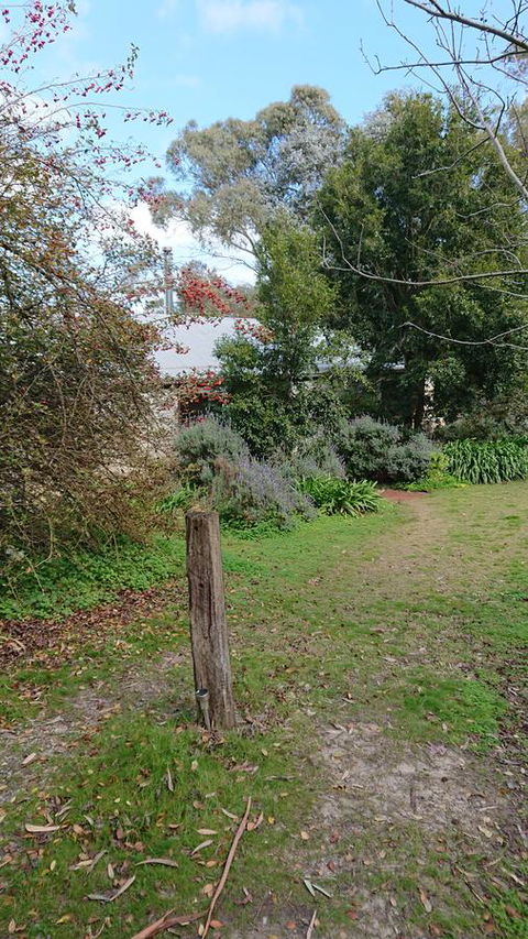 Lost In The Vines - Accommodation Brunswick Heads 21