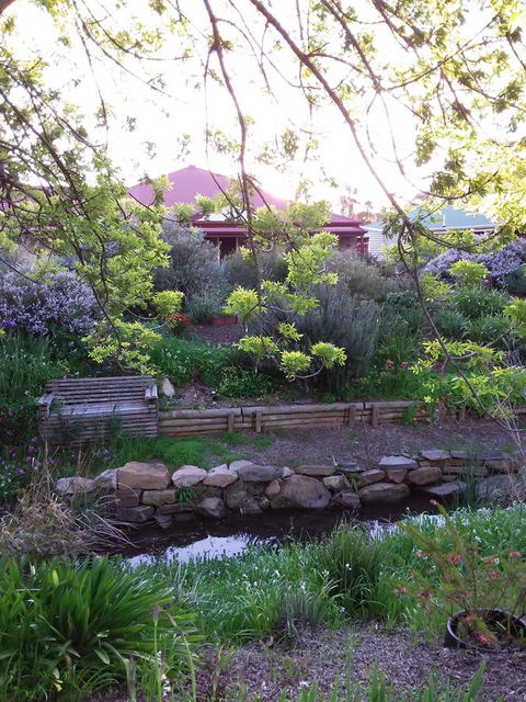 Frog Song At Willunga - Accommodation Brunswick Heads 0