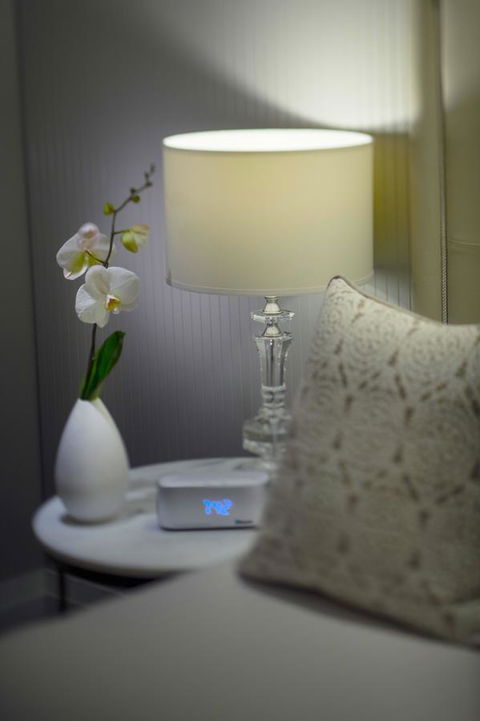 Mayfair Hotel - Accommodation Brunswick Heads 13