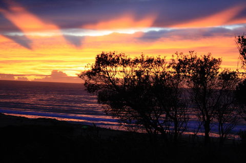 Serenity On Narrabeen Beach - 1Bdr Beachside Retreat - Accommodation Brunswick Heads 1