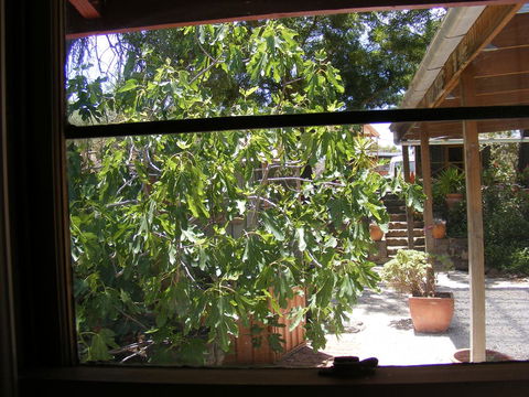 Trevalia Accommodation - Accommodation Brunswick Heads 4