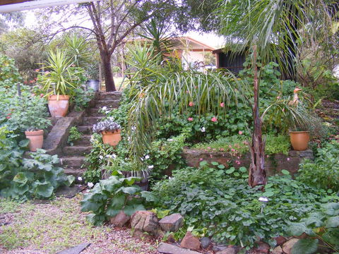 Trevalia Accommodation - Accommodation Brunswick Heads 12