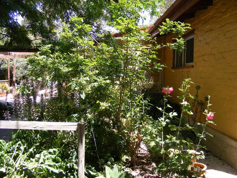 Trevalia Accommodation - Accommodation Brunswick Heads 7