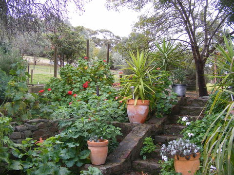 Trevalia Accommodation - Accommodation Brunswick Heads 13