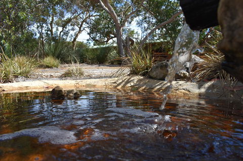 Kangaroo Island Wilderness Retreat - Accommodation Brunswick Heads 25