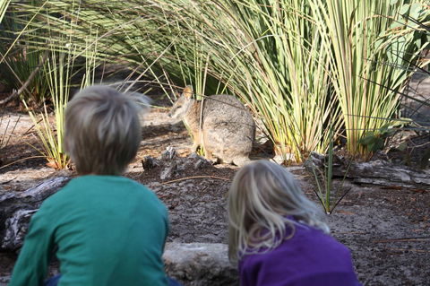 Kangaroo Island Wilderness Retreat - Accommodation Brunswick Heads 30